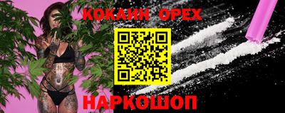 стафф Партизанск