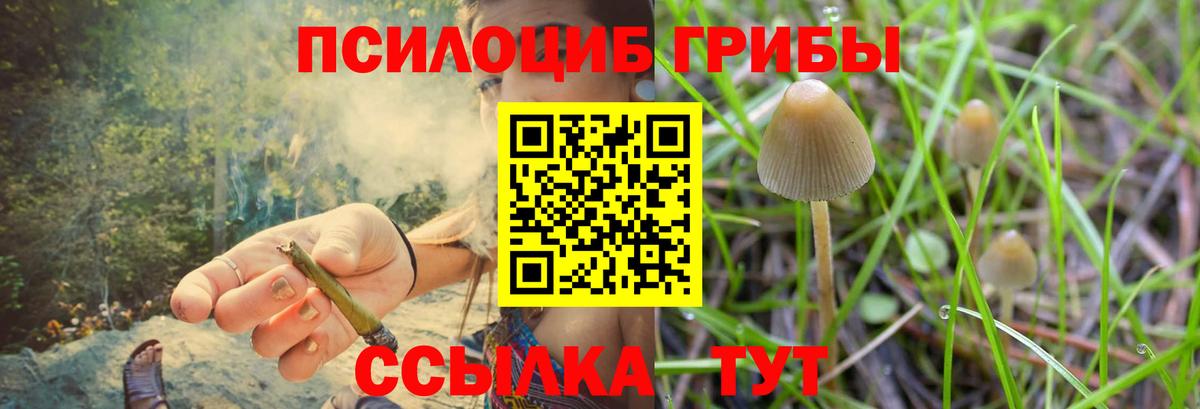 Псилоцибиновые грибы GOLDEN TEACHER  Вход с VPN  Рязань  Псилоцибиновые грибы GOLDEN TEACHER 