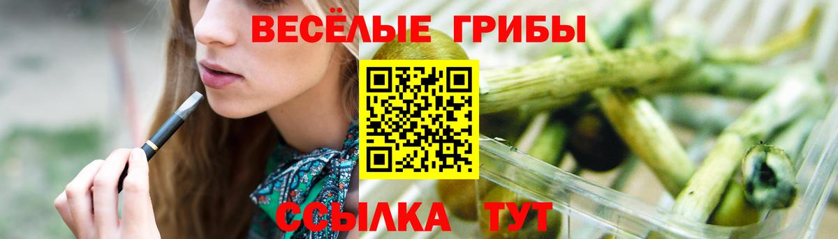 Псилоцибиновые грибы GOLDEN TEACHER Рязань